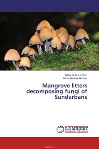 Mangrove litters decomposing fungi of Sundarbans