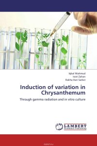 Induction of variation in Chrysanthemum