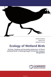 Ecology of Wetland Birds