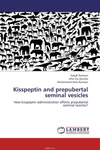 Kisspeptin and prepubertal seminal vesicles