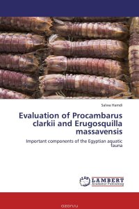 Evaluation of Procambarus clarkii and Erugosquilla massavensis