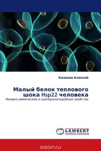 Малый белок теплового шока Hsp22 человека