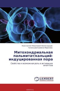 Митохондриальная пальмитат/кальций-индуцированная пора