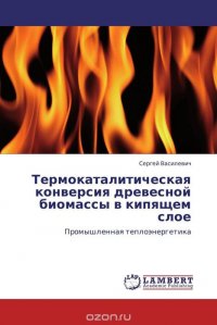 Термокаталитическая конверсия древесной биомассы в кипящем слое