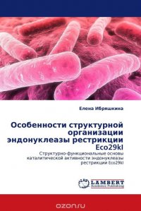 Особенности структурной организации эндонуклеазы рестрикции Eco29kI