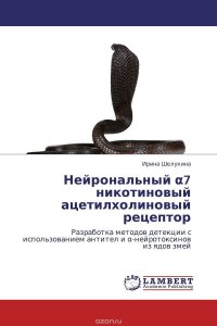 Нейрональный ?7 никотиновый ацетилхолиновый рецептор