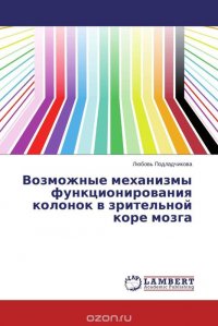 Возможные механизмы функционирования колонок в зрительной коре мозга