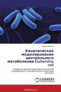 Кинетическое моделирование центрального метаболизма Escherichia coli