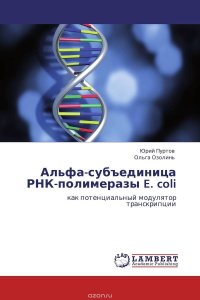 Альфа-субъединица РНК-полимеразы E. coli