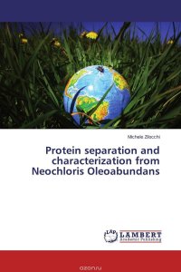 Michele Zilocchi - «Protein separation and characterization from Neochloris Oleoabundans»