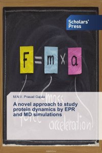 A novel approach to study protein dynamics by EPR and MD simulations