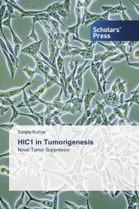 HIC1 in Tumorigenesis