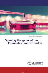 Opening the gates of death: Channels in mitochondria