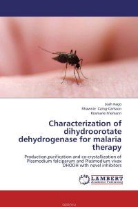 Characterization of dihydroorotate dehydrogenase for malaria therapy