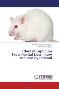 Balasubramaniyan Vairappan and Nalini Namasivayam - «Effect of Leptin on Experimental Liver Injury Induced by Ethanol»