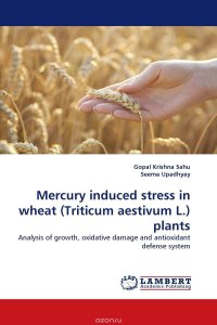 Mercury induced stress in wheat (Triticum aestivum L.) plants