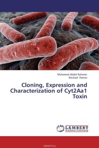 Cloning, Expression and Characterization of Cyt2Aa1 Toxin