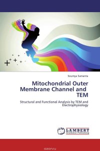 Mitochondrial Outer Membrane Channel and TEM