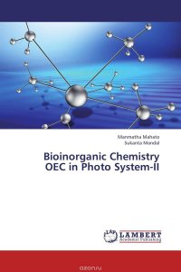 Bioinorganic Chemistry OEC in Photo System-II