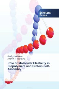 Role of Molecular Elasticity in Biopolymers and Protein Self-Assembly