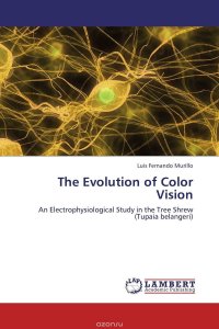 The Evolution of Color Vision