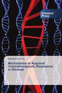 Mechanisms of Acquired Chemotherapeutic Resistance in Gliomas