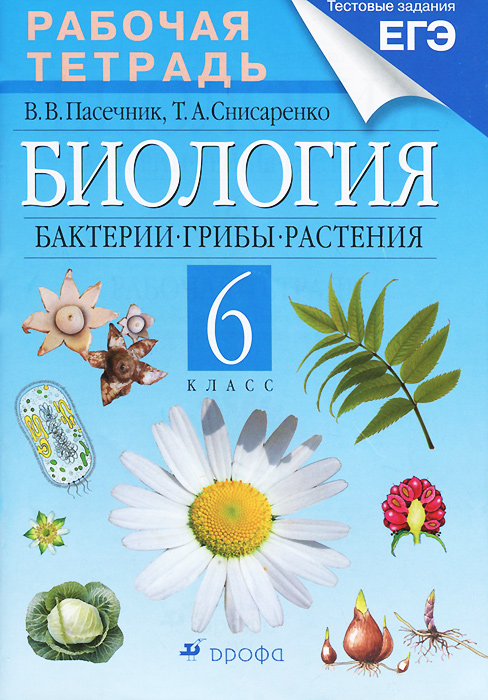 Биология. Бактерии, грибы, растения. 6 класс. Рабочая тетрадь