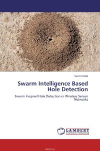 Swarm Intelligence Based Hole Detection