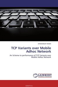 TCP Variants over Mobile Adhoc Network