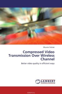 Compressed Video Transmission Over Wireless Channel