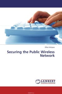 Securing the Public Wireless Network