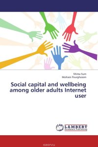 Social capital and wellbeing among older adults Internet user