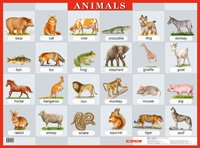 Animals. Наглядное пособие для школы