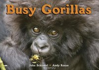 Busy Gorillas