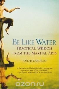 Be Like Water: Practical Wisdom from the Martial Arts