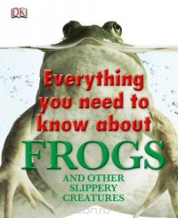 Everything You Need To Know About Frogs