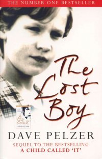 The Lost Boy: A Foster Child's Search for the Love of a Family