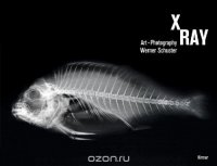 X-Ray: Art-Photography