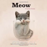 Meow: I Love Cats