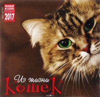 Календарь 2017 (на скрепке). Из жизни кошек / Life of Cats