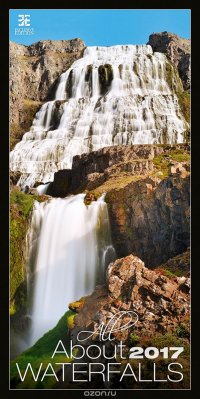 Календарь настенный на 2017 год (на спирали). All About Waterfalls (Все о водопадах)