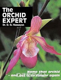 The Orchid Expert