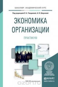 Экономика организации. Практикум. Учебное пособие