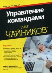 Марти Бронштейн - «Управление командами для чайников»