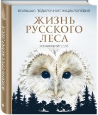 Жизнь русского леса. Большая подарочная энциклопедия (сова)