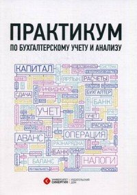 Практикум по бухгалтерскому учету и анализу