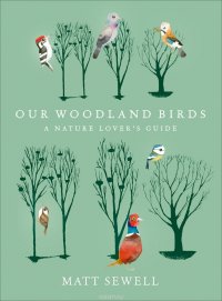 Our Woodland Birds