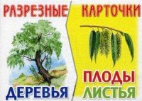 Деревья, плоды, листья. Разрезные карточки