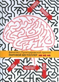 Как работает мозг