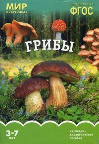 Грибы. Наглядно-дидактическое пособие. Для детей 3-7 лет (набор карточек)